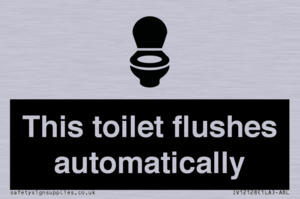 This toilet flushes automatically